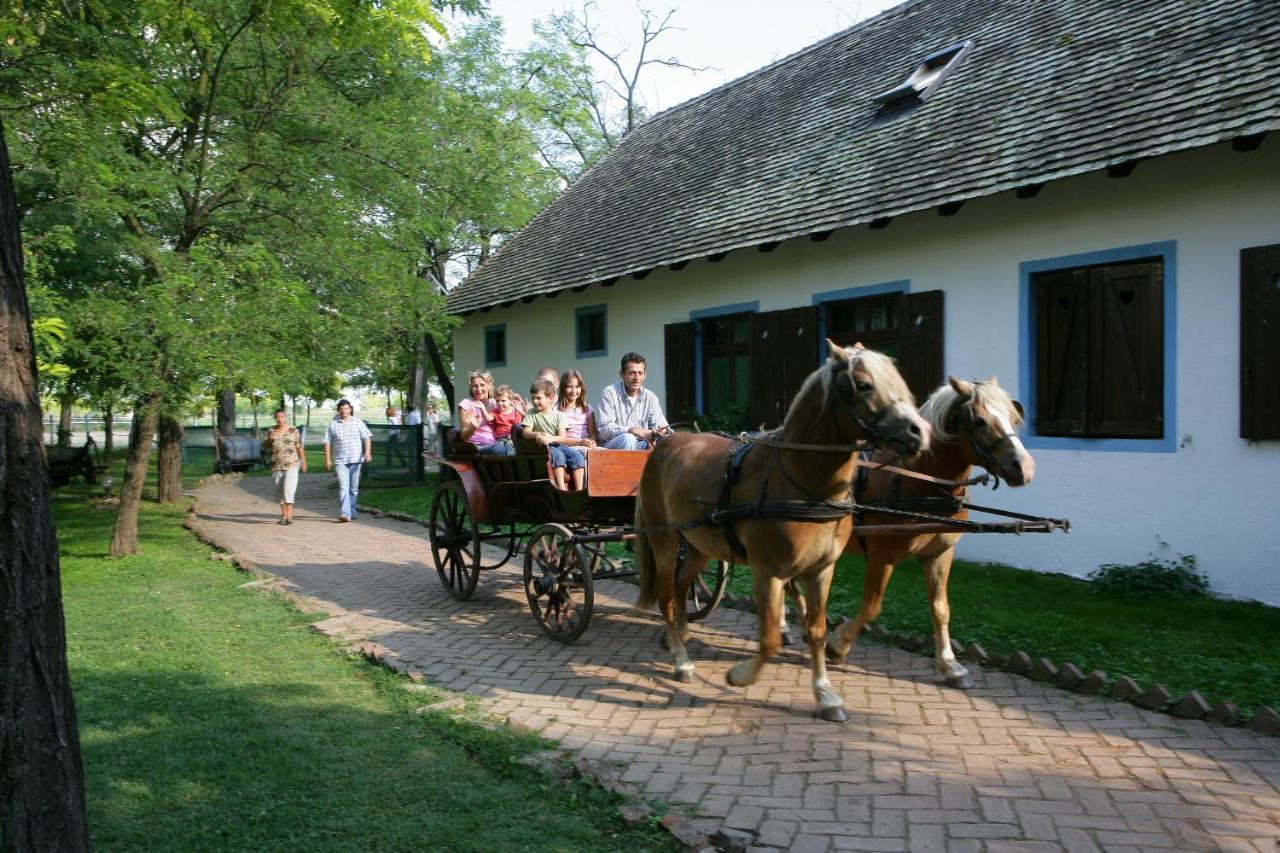Отель Salas 137 Cenej Экстерьер фото